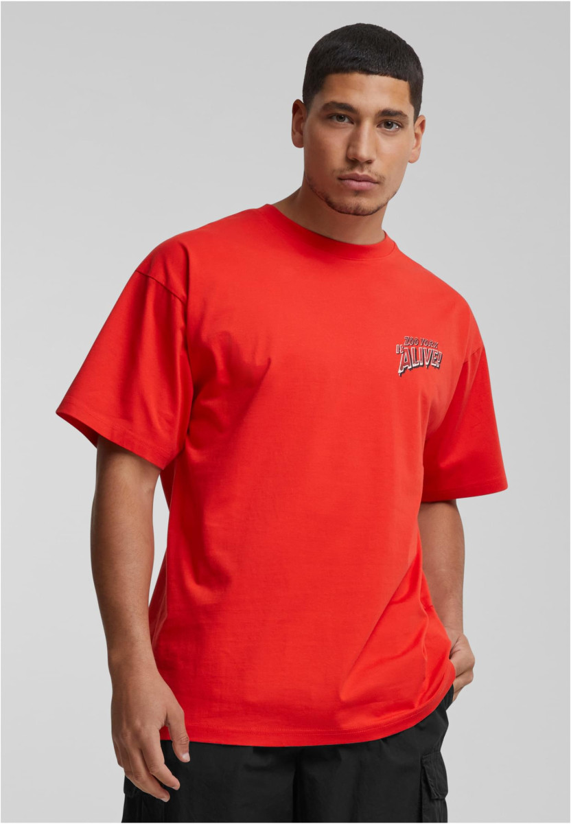 ZM243-027-2 Zoo York Dark Tee