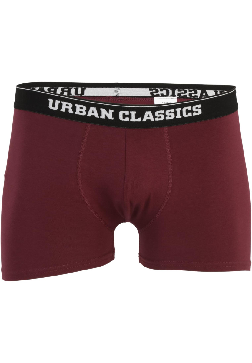 Organic Boxer Shorts 5-Pack