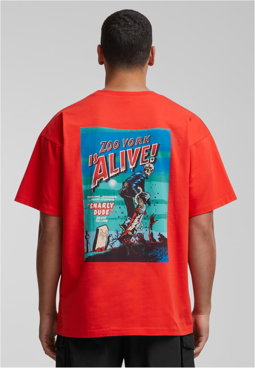 ZM243-027-2 Zoo York Dark Tee