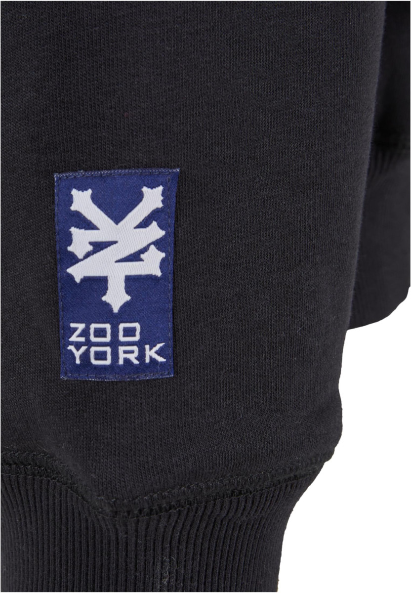 ZM243-029-1 Zoo York Scary Hoodie