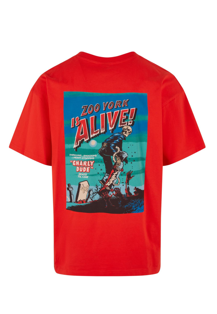 ZM243-027-2 Zoo York Dark Tee
